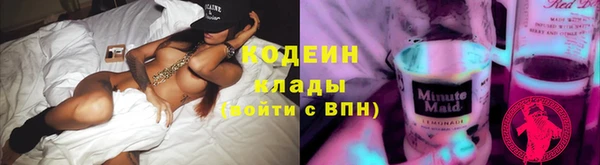 шишки Вяземский
