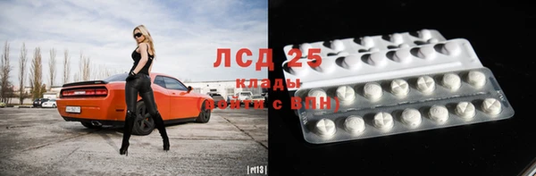 шишки Вяземский
