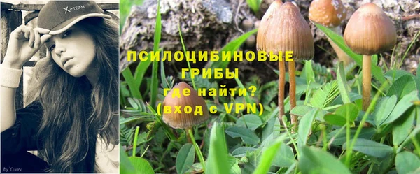 круглые Вязьма