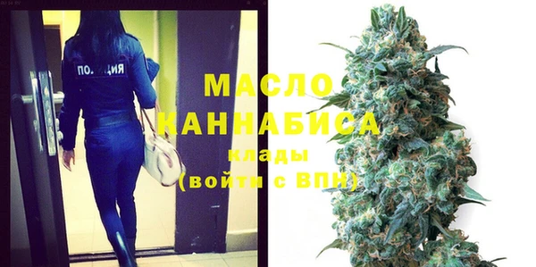 гашик Верея