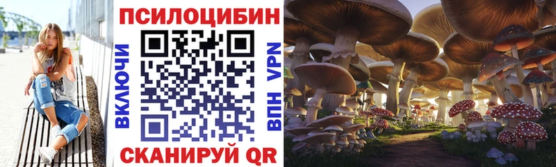 Галлюциногенные грибы мухоморы купить цена Дно