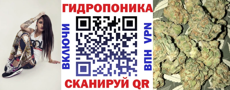 Марихуана конопля  даркнет сайт  Дно 